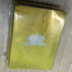 遊戯王 ニューロン プロテクター ラーイエロー 新品未開封