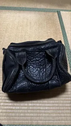 Alexander wang バッグ
