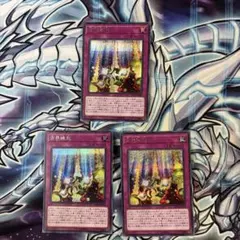 遊戯王　方界縁起　シク　3枚