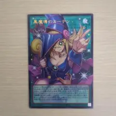 黒魔導のカーテン LOCH-JP003