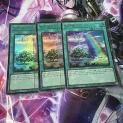 遊戯王　虹の橋ビフレスト　ウルトラ　3枚