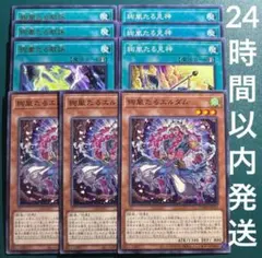 遊戯王　絢嵐たる献詠、見神、エルダム　セット　1　各3枚　絢爛　けんえいけんらん