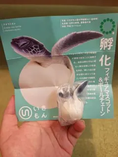 いきもん 孵化フィギュア アオウミガメ