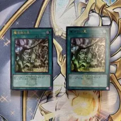 遊戯王 魔法族の里　ウルトラ2枚