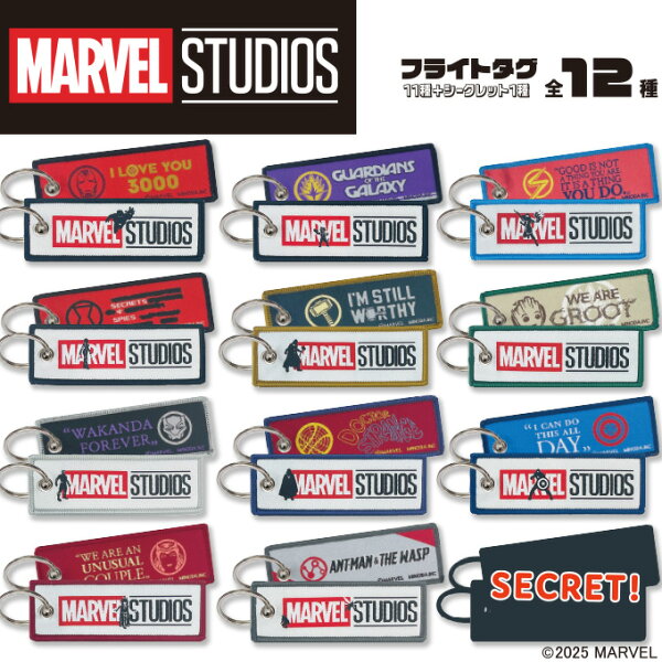 マーベルスタジオ フライトタグ MARVEL マーベル ディズニー キャラクター グッズ プレゼント  男の子 女の子 タグ 大人向け 推し 小学校 楽天 お祝い ギフト【Disneyzone】ワンサイズ;フライトタグ
